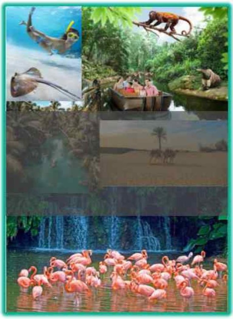 Do Something Exciting.