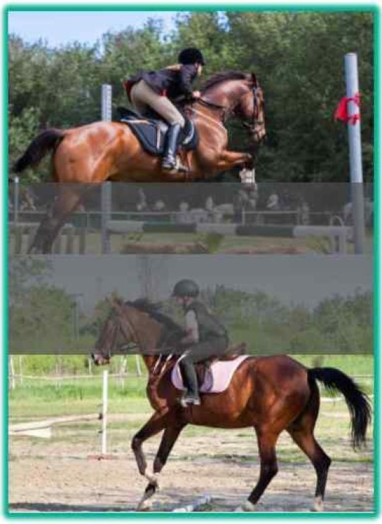 Do Something Exciting.