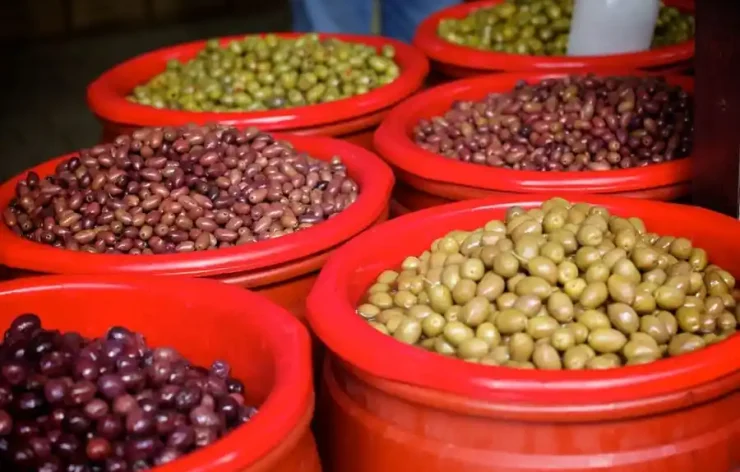 Athens Gourmet Food Tour With Tour Guide Greece