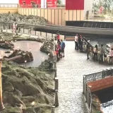 Catch the free shuttle, or book confirmed hotel pick up