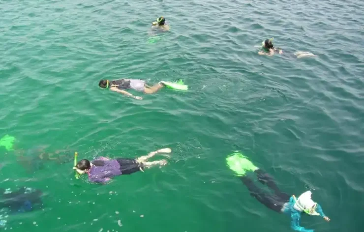 Musandam tour Dubai Sea Safari, Banana Boat, Snorkeling, Food