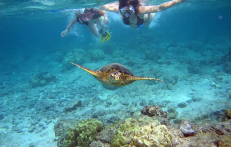 Musandam tour Dubai Sea Safari, Banana Boat, Snorkeling, Food