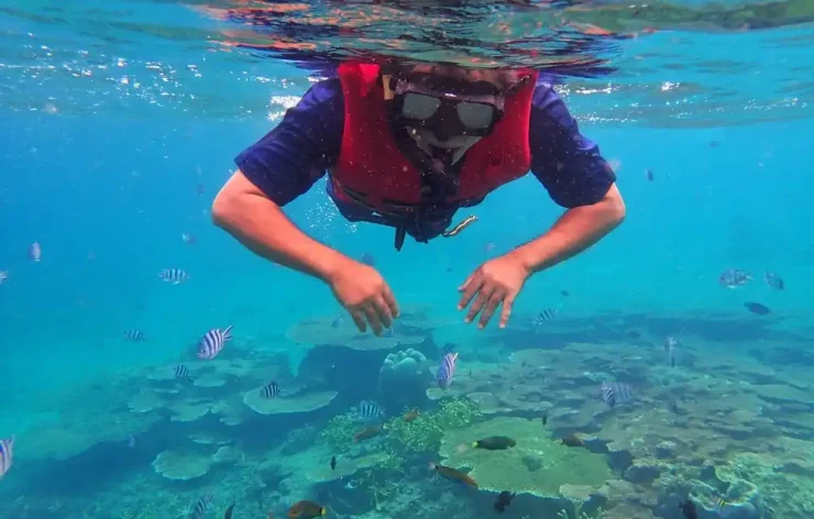 Musandam tour Dubai Sea Safari, Banana Boat, Snorkeling, Food