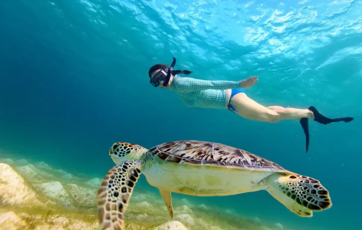 Musandam tour Dubai Sea Safari, Banana Boat, Snorkeling, Food