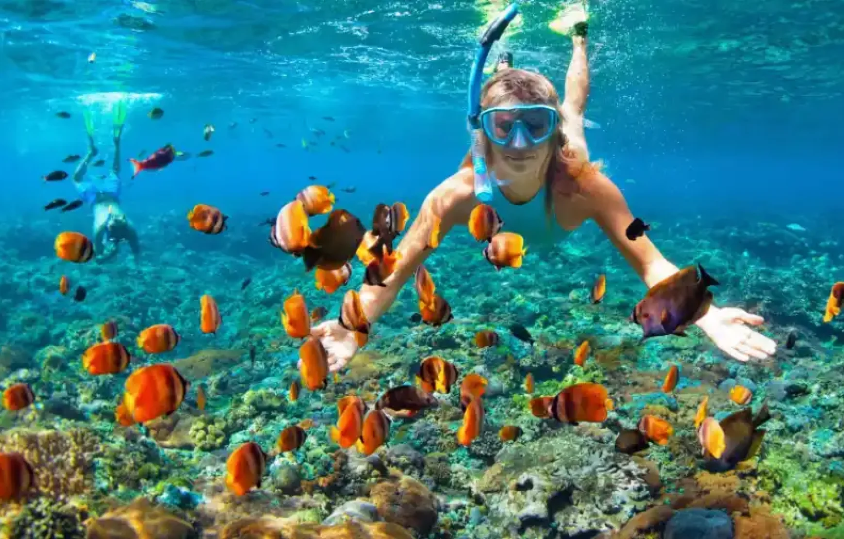Musandam tour Dubai Sea Safari, Banana Boat, Snorkeling, Food