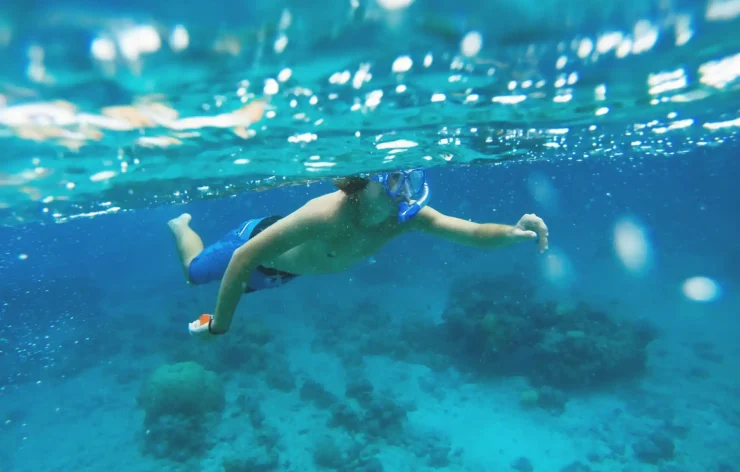 Musandam tour Dubai Sea Safari, Banana Boat, Snorkeling, Food