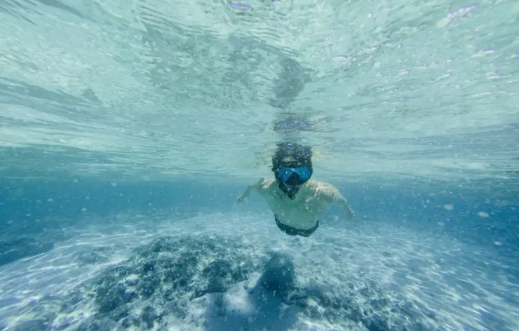 Musandam tour Dubai Sea Safari, Banana Boat, Snorkeling, Food