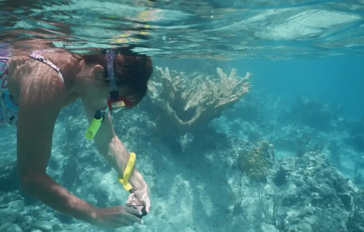 Musandam tour Dubai Sea Safari, Banana Boat, Snorkeling, Food