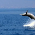 More Water activities 