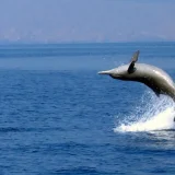 More Water activities 