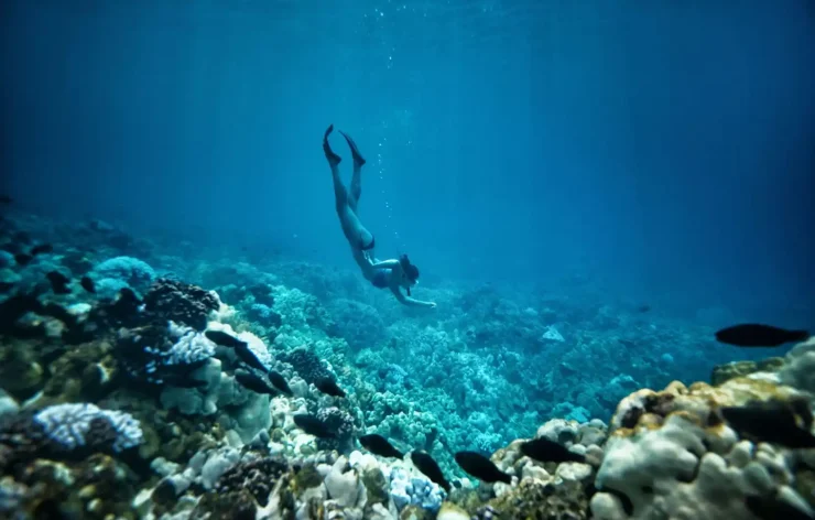 Musandam tour Dubai Sea Safari, Banana Boat, Snorkeling, Food