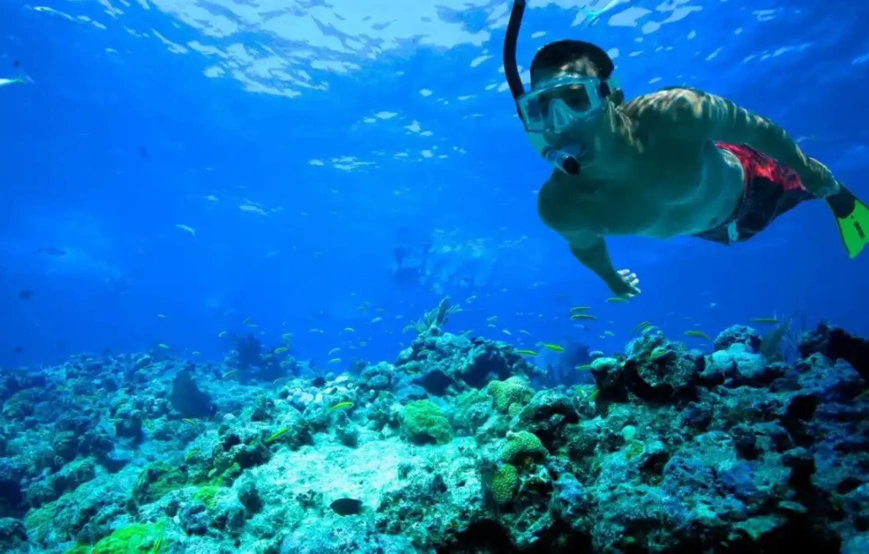 Musandam tour Dubai Sea Safari, Banana Boat, Snorkeling, Food