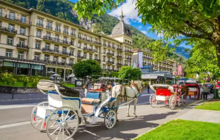 Swiss Alps: Grindelwald & Interlaken Tour from Zurich