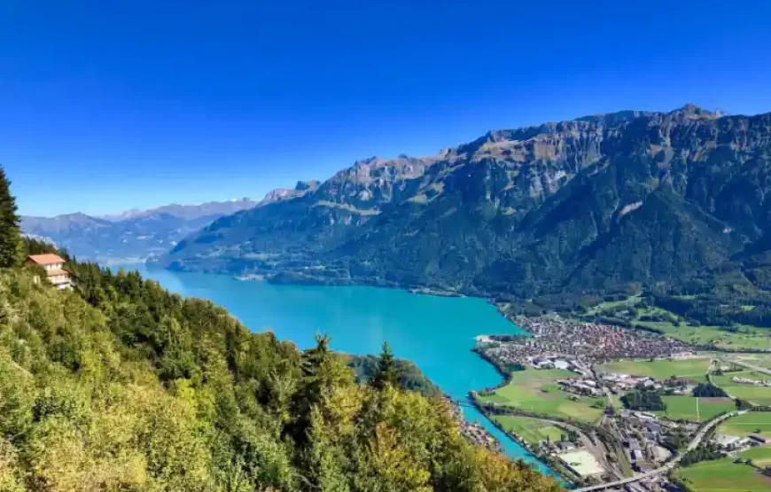 Grindelwald & Interlaken from Zurich