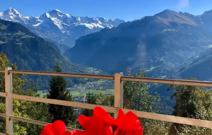 Guided Tour From Lucerne To Grindelwald And From Interlaken To Lucerne Switzerland