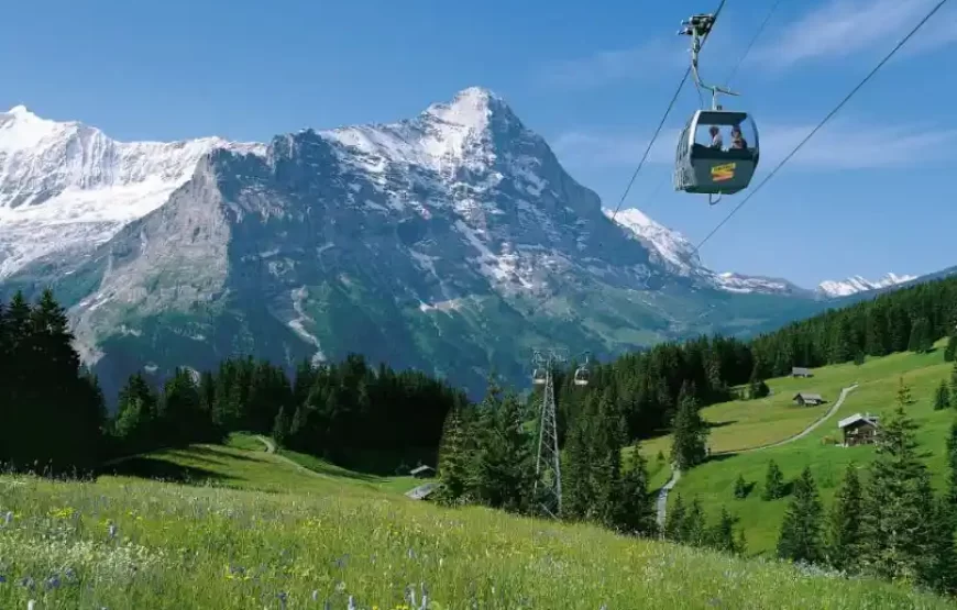 Guided Tour From Lucerne To Grindelwald And From Interlaken To Lucerne
