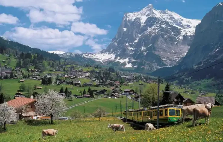 Guided Tour From Lucerne To Grindelwald And From Interlaken To Lucerne Switzerland