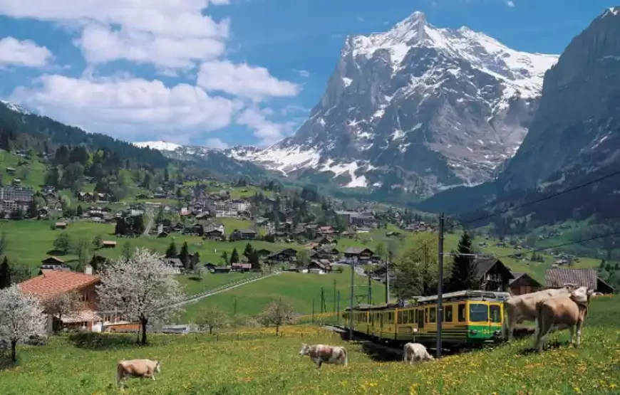 Grindelwald & Interlaken from Zurich