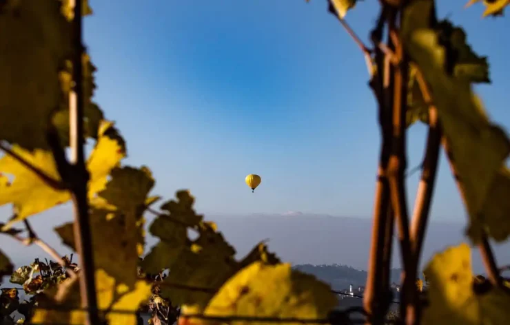 Enjoy the Hot Air Balloon Ride Over Barolo Italy