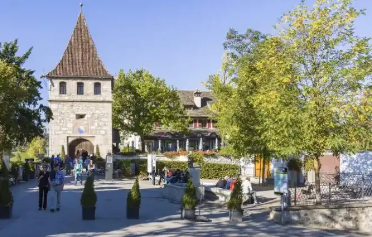 Rhine Falls from Zurich Switzerland