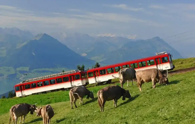 Central Switzerland Rigi Mountain Massif of the Alps Tour from Zurich
