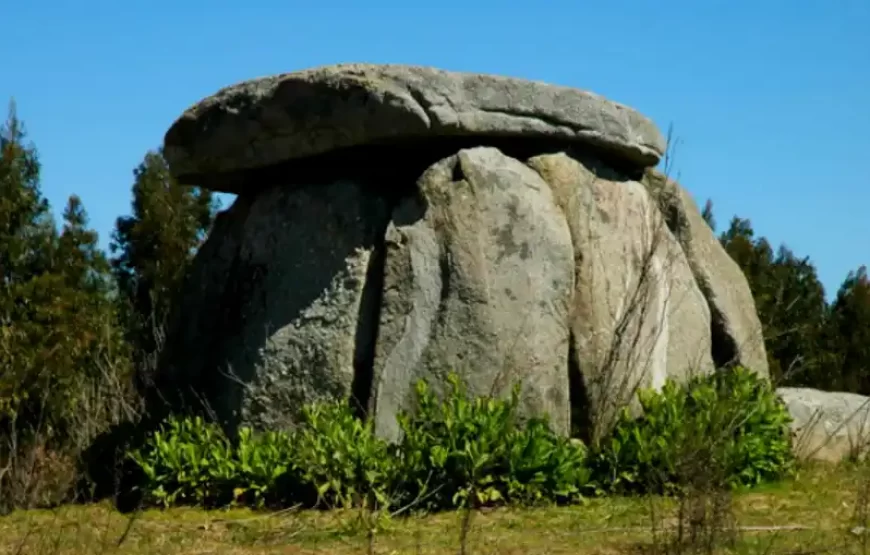 Full-day Tour of Évora and The Megaliths of the Cromeleque Dos Almendres