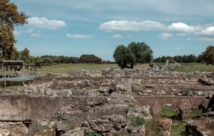 Full-day Tour of Évora and The Megaliths of the Cromeleque Dos Almendres Lisbon Portugal