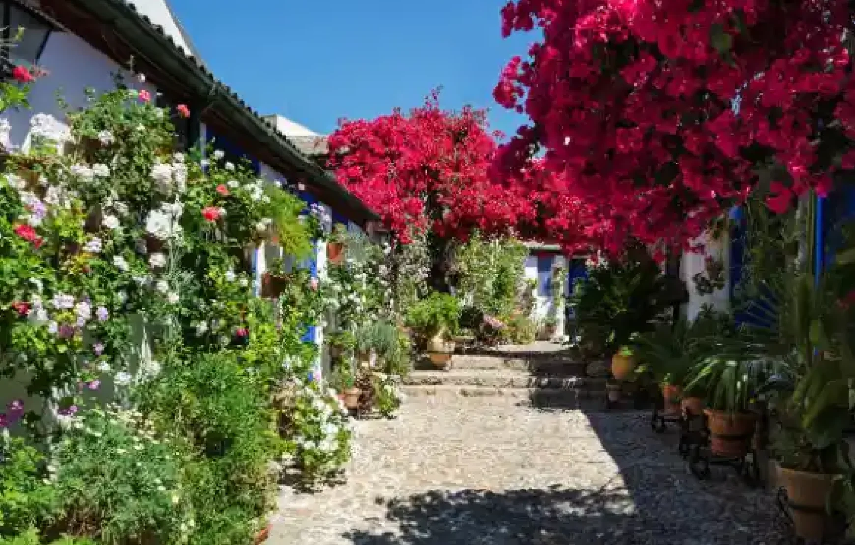 Guided Tour To The Famous Patios of Cordoba Spain