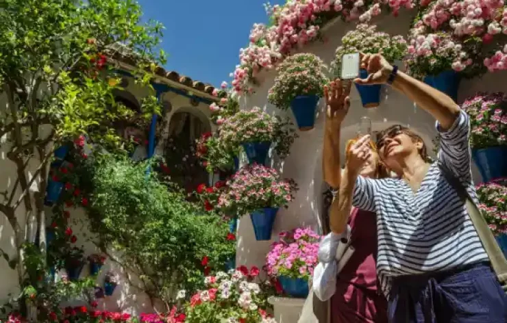 Guided Tour To The Famous Patios of Cordoba Spain