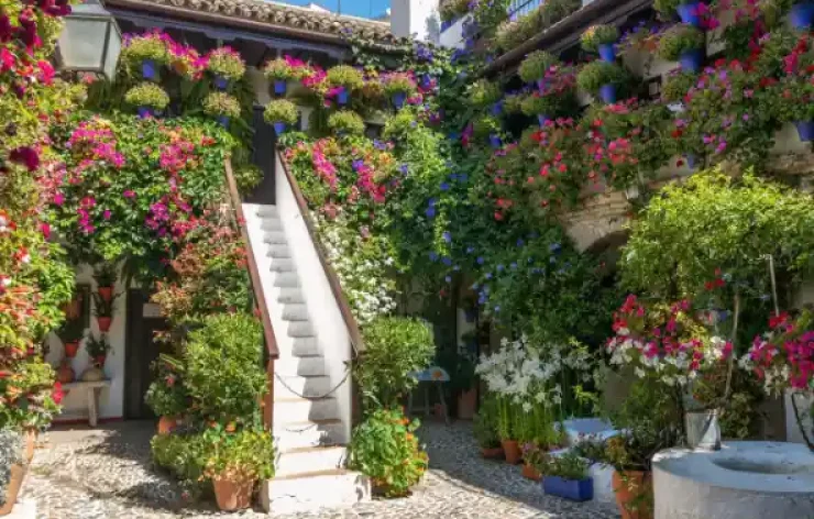 Guided Tour To The Famous Patios of Cordoba Spain