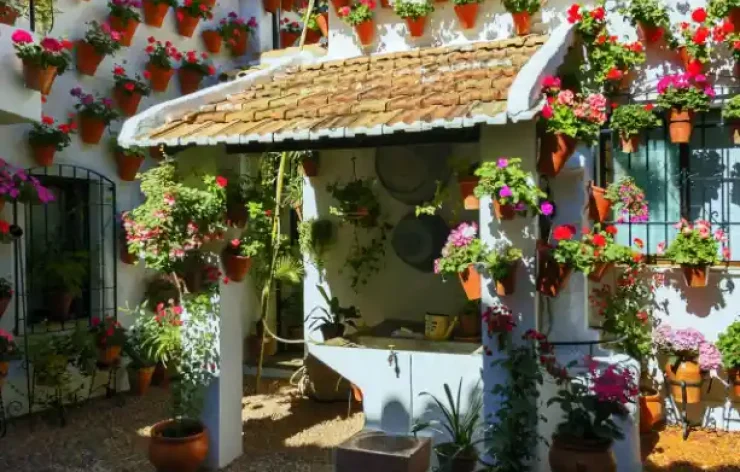 Guided Tour To The Famous Patios of Cordoba Spain