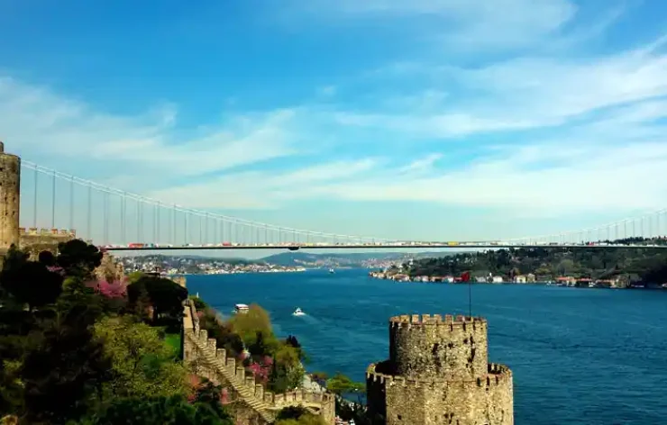 Istanbul Bosphorus Cruise With Lunch And Beylerbeyi Palace Tour Turkey