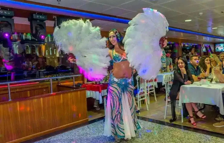 Istanbul Bosphorus Dinner Cruise with Live Performances Turkey