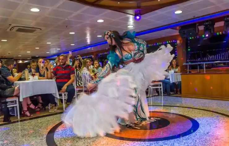 Istanbul Bosphorus Dinner Cruise with Live Performances Turkey
