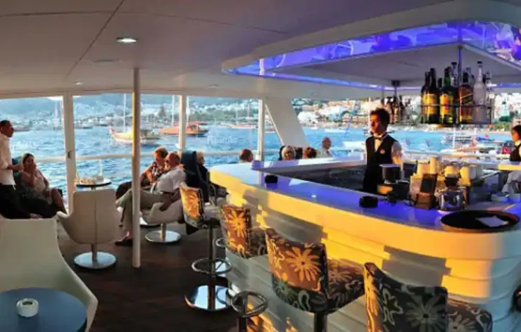 Istanbul Buffet Brunch on Cruise Drinks Swimming With Transportation Turkey