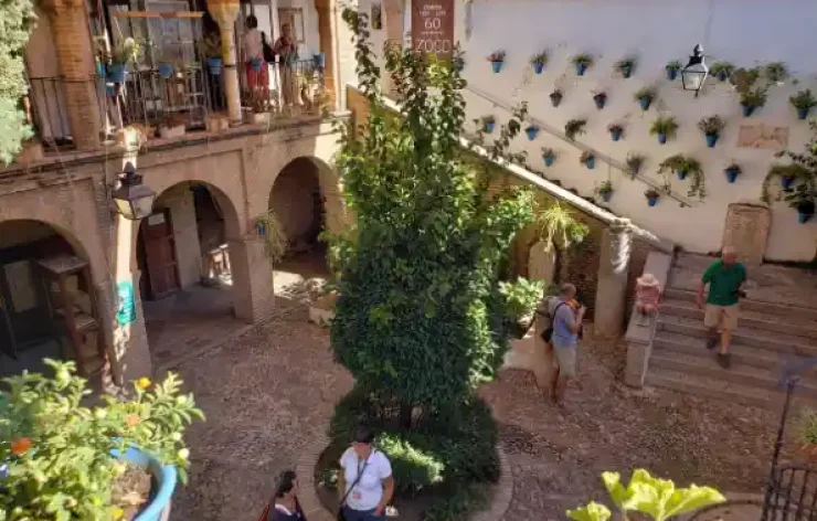 Mosque of Córdoba and the Jewish Quarter tour Spain