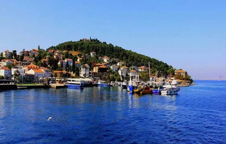 Princes-islands-Istanbul-Bosporus-tour Turkey