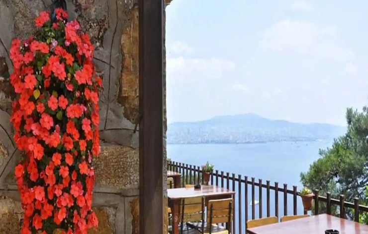 Princes-islands-Istanbul-Bosporus-tour Turkey (15)