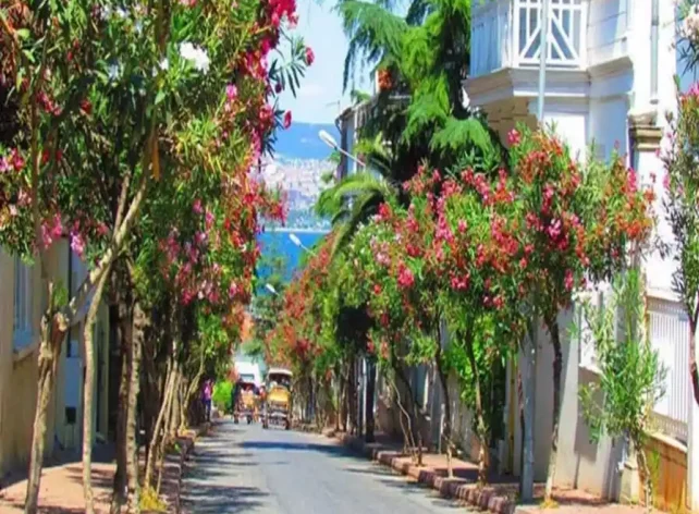 Princes-islands-Istanbul-Bosporus-tour Turkey