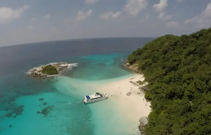 Dolphin Watching at Raya Noi Island Phuket Thailand