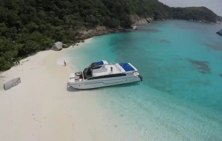 Dolphin Watching at Raya Noi Island Phuket Thailand