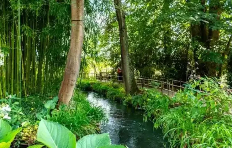 Guided Tour of Giverny Monet's Gardens from Paris France