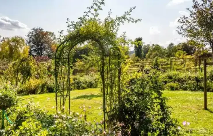 Guided Tour of Giverny Monet’s Gardens from Paris