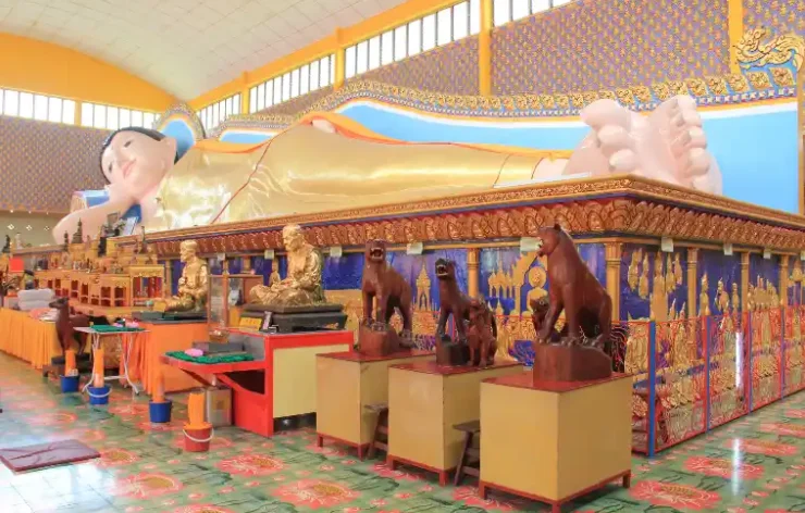 Penang Sightseeing Tour with Guide