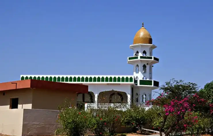 Salalah City Sightseeing Tour Oman