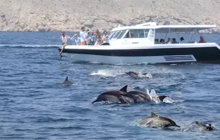 Two Hours Dolphin Watching Oman