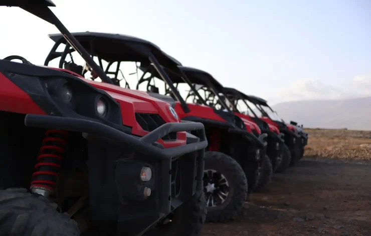 Fun Buggy Ride in the Dubai Desert with Pick up