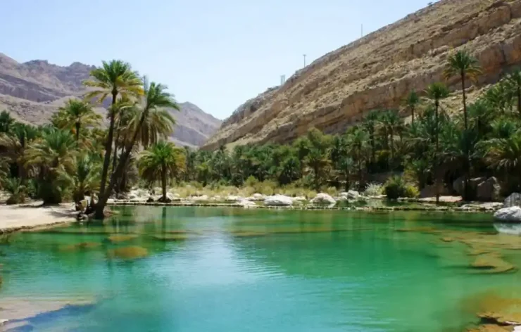Wahiba Sands & Wadi Bani Khalid Tour
