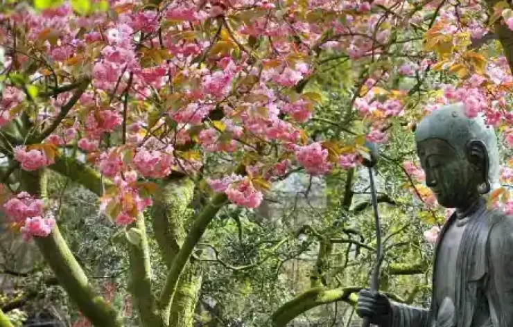 Entry Ticket: ARTIS Amsterdam Zoo – Royal Zoo