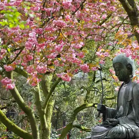 Amsterdam Royal Zoo Entrance Ticket